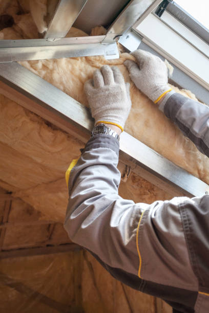 Best Wall Insulation Installation  in USA